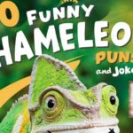200 Funny Chameleon Puns and Jokes That Will Change Your Mood to Laughing!